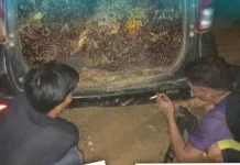 Dua Pelaku Pencurian Sawit di PT KMB Kotim Dibekuk, Satu Orang Masih Buron