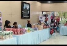 Investasi dan UMKM Jadi Penggerak Utama Ekonomi Daerah