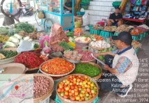 Harga Barang Kebutuhan Pokok Minggu Kedua Juni 2026 Masih Relatif Terkendali