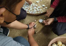 Beragam Manfaat Temulawak bagi Kesehatan Fungsi Hati