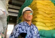 Kenaikan Harga BBM Berdampak Penyerapan Gabah Petani
