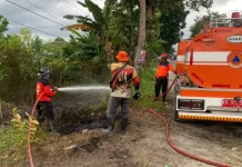 Gerak Cepat, TRC BPBD Kobar Padamkan Kebakaran Lahan di Jalan A. Yani