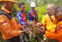 Antisipasi El Nino, BPBD Kobar Terjunkan 10 Tim Patroli Terpadu Karhutla