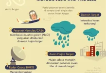 BPBD Kalteng Usulkan Perpanjangan Operasi Modifikasi Cuaca