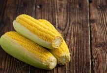 Jagung Jadi Komoditas Pangan yang Kaya Manfaat