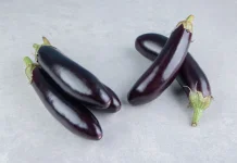 Terong, Pelengkap Berbagai Menu Khas Indonesia