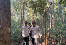 STIK Lemdiklat Polri Kunjungi Laboratorium Alam Hutan Gambut Sebangau