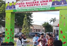 Pemprov Kalteng Dorong Penambahan Rute Penerbangan ke Kabupaten Murung Raya