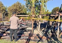 Kebakaran Kandang Ayam Masih Diselidiki