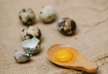 Telur Burung Puyuh, Bahan Makanan Bergizi dengan Ragam Olahan