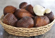 Biji Salak Memiliki Potensi Manfaat, Mulai dari Kerajinan hingga Bahan Riset