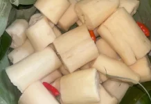 Konsumsi Tapai Singkong Secara Bijak Dukung Kesehatan Pencernaan