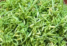Bunga Pepaya, Sayuran Tradisional yang Kaya Manfaat Kesehatan