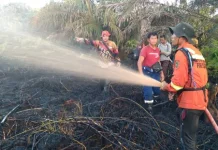 Akses Sulit, TRC BPBD Kobar Seberangi Sungai Padamkan Kebakaran Lahan