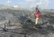 Pemko Palangka Raya Terus Lakukan Upaya Pencegahan Karhutla di Musim Kemarau