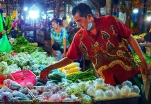 Kendalikan Inflasi, Pemko Palangka Raya Suplai Hortikultura dari Kabupaten Karo
