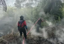 Karhutla Kawasan Bandara, Berpotensi Ganggu Penerbangan Sampit