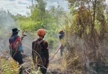 Marak Karhutla, Bupati Kotim Imbau Warga Jangan Bakar Lahan