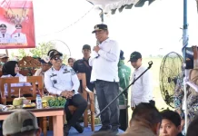 Panen Raya Padi di Bataguh Dukung Ketahanan Pangan Kalimantan tengah