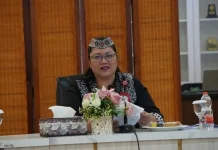 Perkuat Iklim Investasi Daerah, Pemkab Kapuas Susun Perbup Insentif Investasi