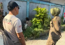 Diduga Mengamuk karena Lapar, Satpol PP Kobar Tangani ODGJ di Kumai