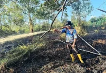 BPBD Palangka Raya Tingkatkan Koordinasi dan Pemantauan Daerah Rawan Karhutla