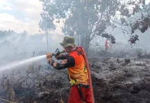 BPBD Kobar dan Tim Gabungan Jinakkan Tiga Titik Karhutla Sekaligus