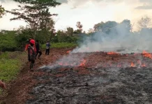 Dinkes Palangka Raya Imbau Masyarakat Kurangi Aktivitas di Luar Rumah
