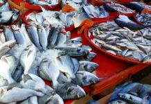 Keamanan Pangan dan Infrastruktur Dukung Ketahanan Ekonomi Daerah