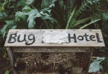 Bug Hotel Solusi Kreatif Melindungi Serangga yang Semakin Terancam