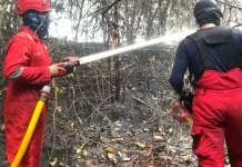Response Time 12 Menit, Tim Gabungan Kobar Padamkan Kebakaran Sampah di Arsel