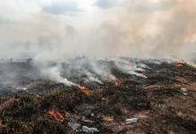 Sebanyak 66 Kejadian Karhutla Terjadi di Kota Palangka Raya sejak Juni 2026