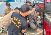 Resahkan Warga Pelingkau, Satpol PP Kobar Evakuasi ODGJ ke Rumah Singgah