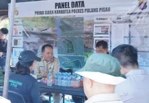 Gubernur Kalteng Tinjau Penanganan Karhutla di Pulang Pisau