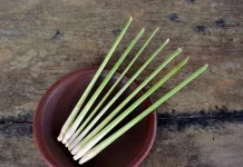 Serai, Bahan Alami yang Bisa Membantu Mengusir Tikus dari Rumah