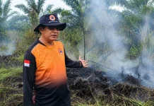 BPBD Palangka Raya Catat 90 Kejadian Karhutla
