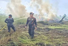 Wali Kota Palangka Raya Ancam Beri Sanksi Tegas Bagi Pembakar Lahan
