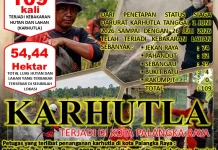 Karhutla di Palangka Raya Bertambah Capai 109 Kejadian, Kecamatan Rakumpit Aman