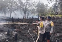 Sepekan Padam, Kembali Muncul Karhutla Jalan Gustaf Erang