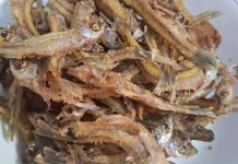 Nikmatnya Ikan Goreng Saluang, Kuliner Khas Sungai yang Kaya Gizi