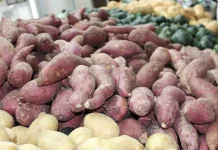 Diet Ubi Karbohidrat, Sehat yang Mengenyangkan