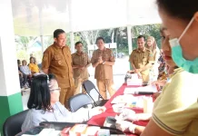Wabup Pulang Pisau Tinjau Posyandu Lansia Bukit Rawi