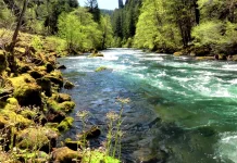 Hari Sungai Nasional, Pentingnya Menjaga Sumber Kehidupan Bersama