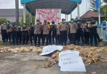 Demo Peternak Lempar Ayam Busuk ke Kantor PLN