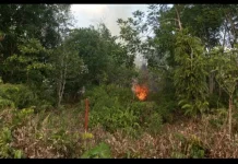 Kabut Asap Selimuti Sampit, Sementara Kapuas Perkuat Kesiapsiagaan Lintas Sektor