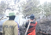 Terbatas Akses, BPBD Palangka Raya Tetap Gencar Lakukan Pemadaman Karhutla