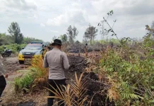 Karhutla Lanjutan di Jalan Hiu Putih Terus Dipantau