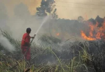Operasi Modifikasi Cuaca Sasar Daerah Rawan Karhutla