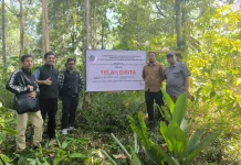 Penyidik Kanwil DJP Kalselteng Sita Lima Bidang Tanah Tersangka Kasus Perpajakan