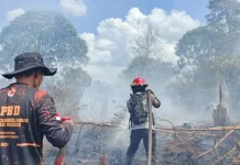 Karhutla Kotim Meluas, Dinkes Bagikan Belasan Ribu Masker